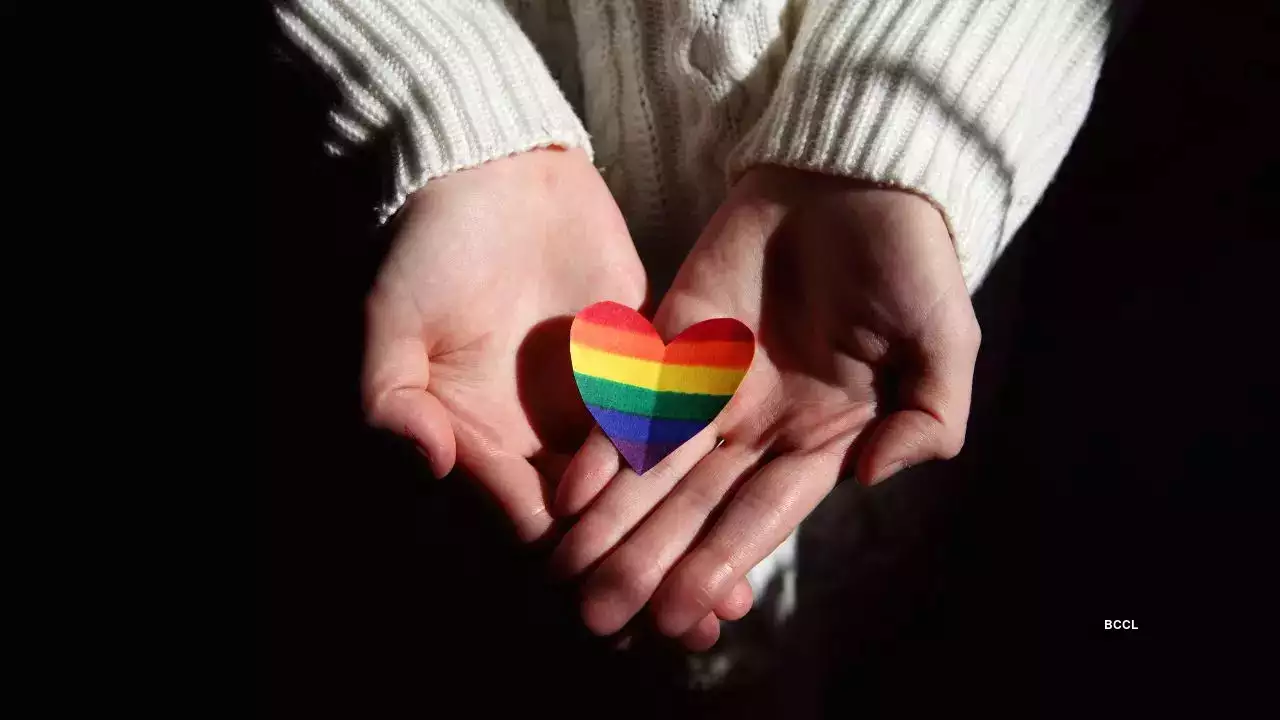 Legal Challenges and Progress for LGBTQ+ Couples in India: Ongoing Hurdles and Achievements