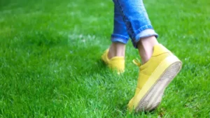 Walk