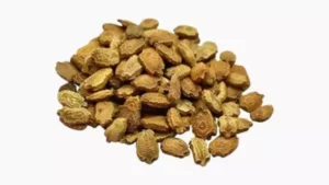 Karela Oil