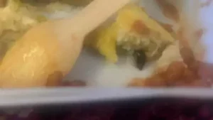 Cockroach Found in Meal
