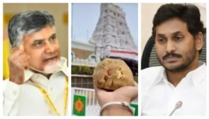 Tirupati Laddu