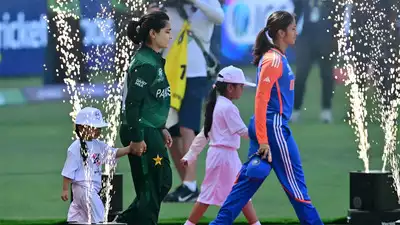 cricket