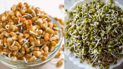 Steamed Sprouts vs. Raw Sprouts
