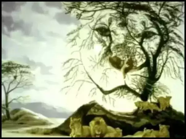 Optical Illusion Test