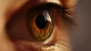 Eye
