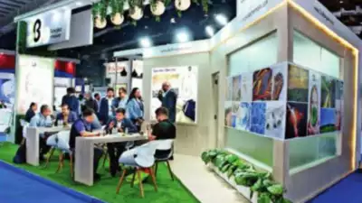 India's Rapidly Growing Composites Industry