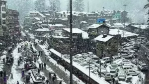 Fresh Snowfall