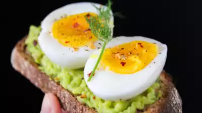 Protein